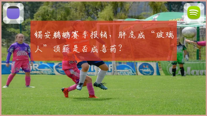 锡安鹈鹕赛季报销，胖虎成“玻璃人”顶薪是否成毒药？